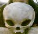 ALIEN SKULL