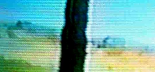 marsbase111.jpg